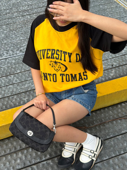 UST Y2K Raglan Shirt (Boxy Oversized)